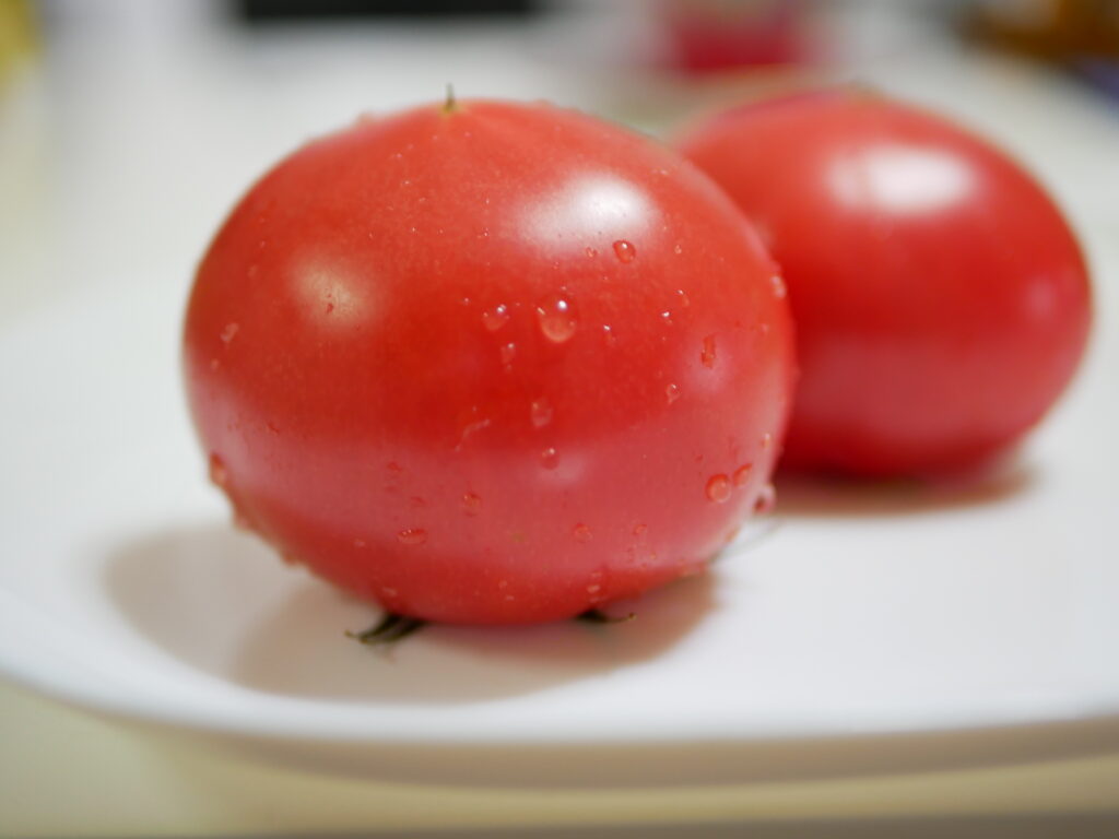 隣の農園で取れたトマトです。