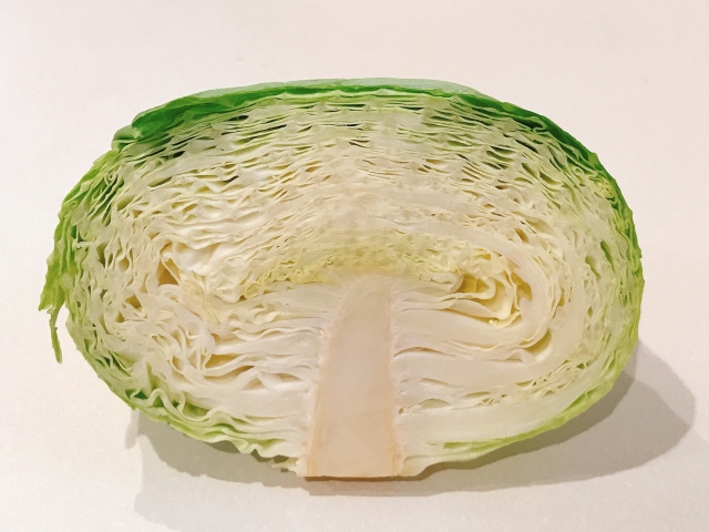 冬キャベツ